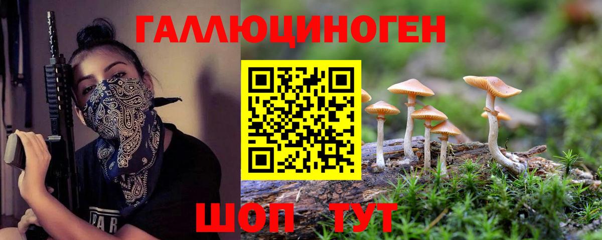 Псилоцибиновые грибы Magic Shrooms  Вход с VPN  Галлюциногенные грибы Psilocybe  Амурск 